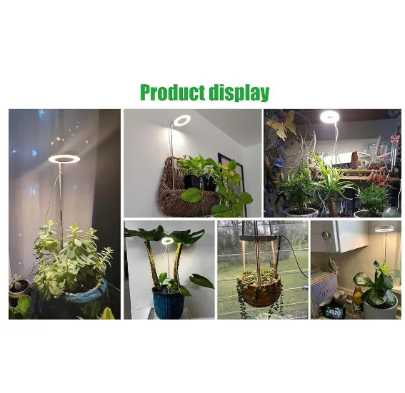 LED Grow Light for Indoor Plants | Timer + Dimming