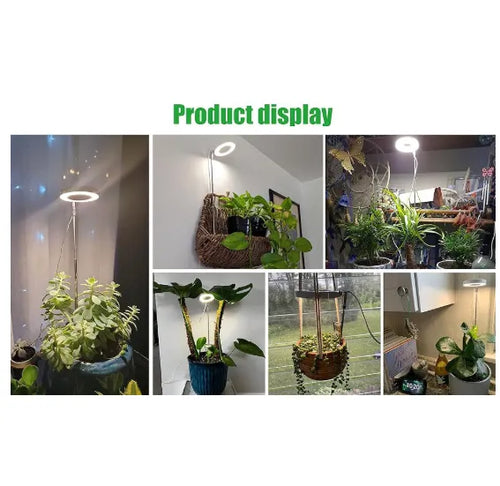 LED Grow Light for Indoor Plants | Timer + Dimming