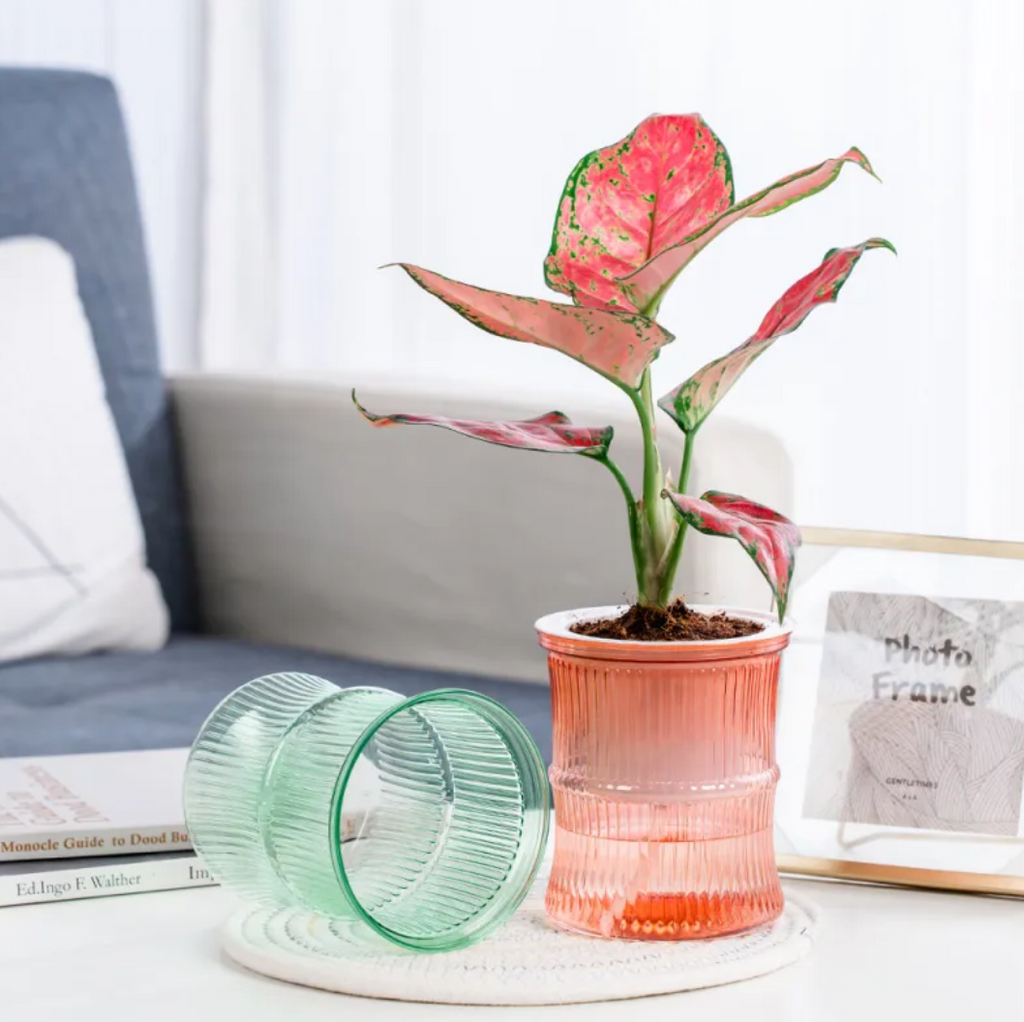 Self-Watering Mini Plant Pots | Clear Indoor Planters