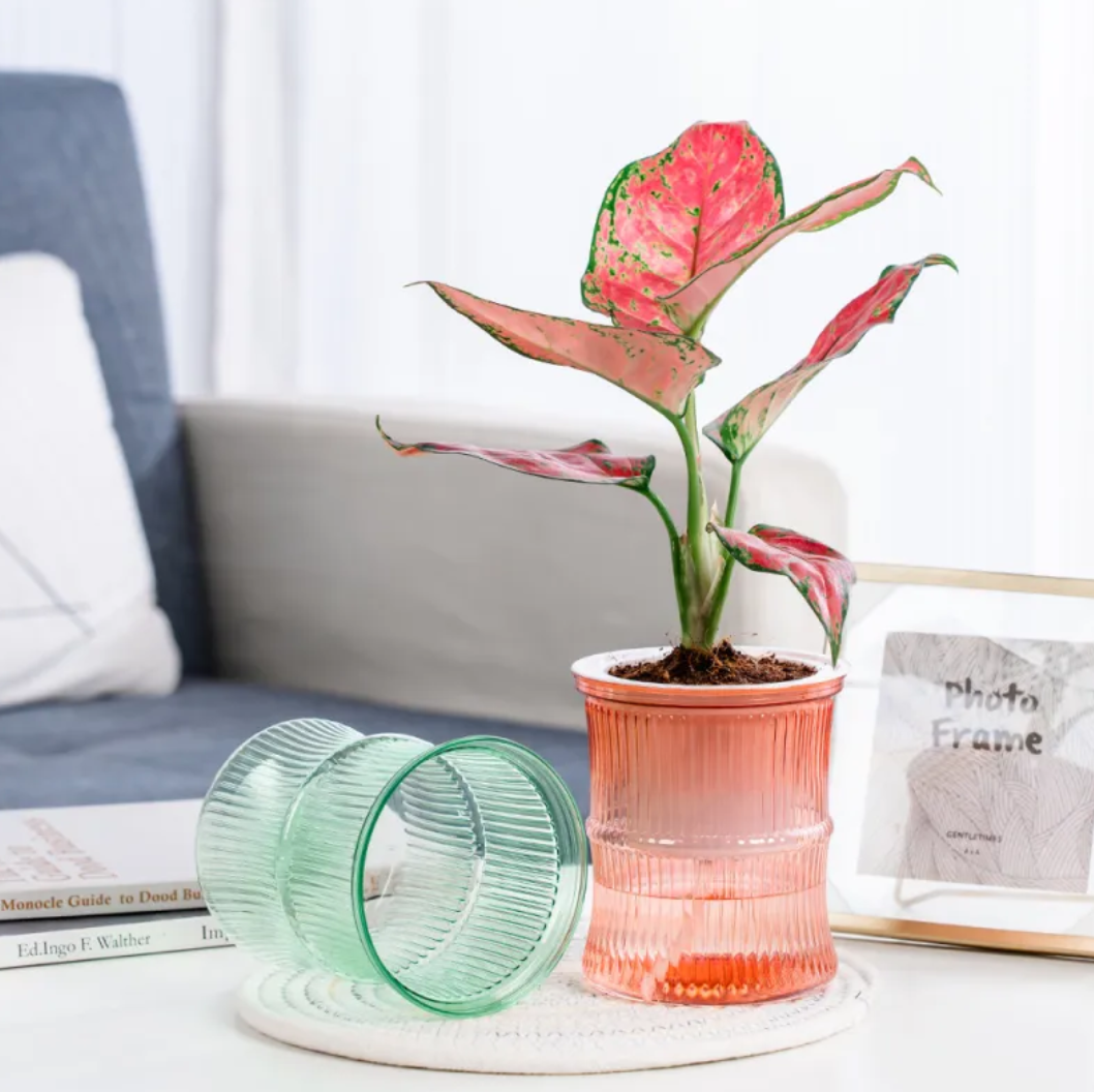 Self-Watering Mini Plant Pots | Clear Indoor Planters